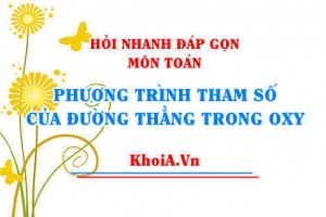 Phương trình tham số của đường thẳng trong mặt phẳng Oxy lớp 10? Hỏi nhanh đáp gọn môn Toán